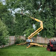 Best Seasonal Cleanup (Spring/Fall)  in Point, TX