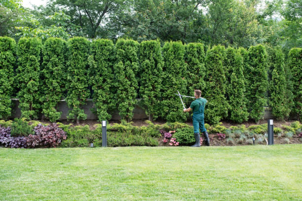 Best Lawn Irrigation Installation and Maintenance  in Point, TX