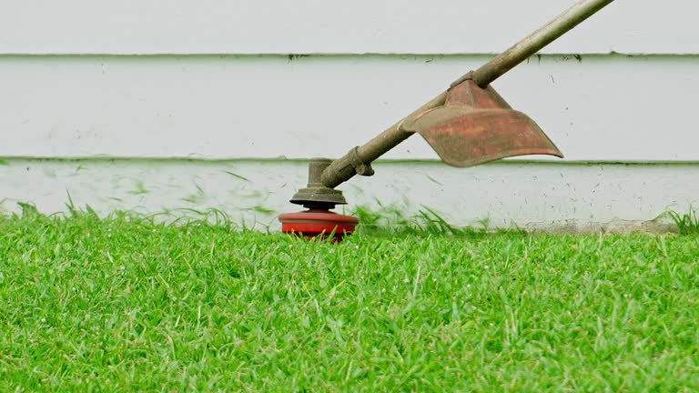  Point, TX Tree Services Pros